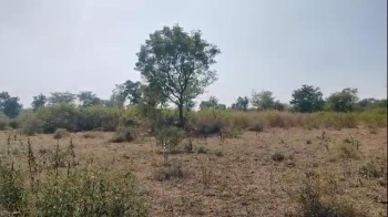  Agricultural Land for Sale in Mavli, Udaipur