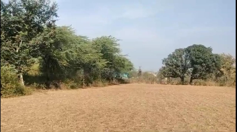  Agricultural Land 2 Bigha for Sale in Girwa, Udaipur