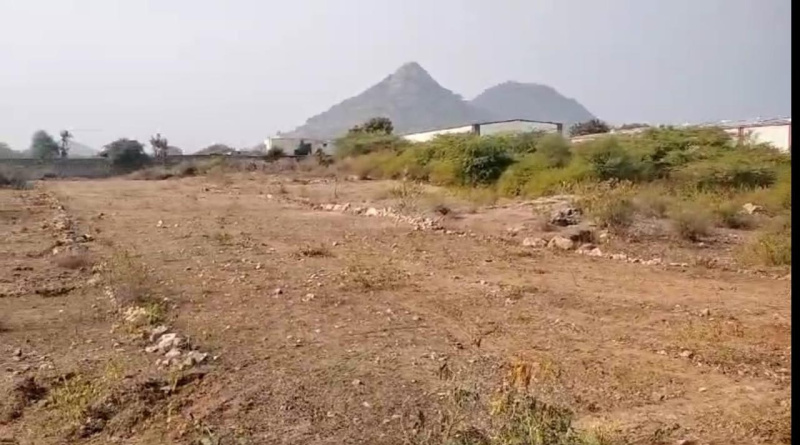  Agricultural Land 3 Bigha for Sale in Chandesara, Udaipur