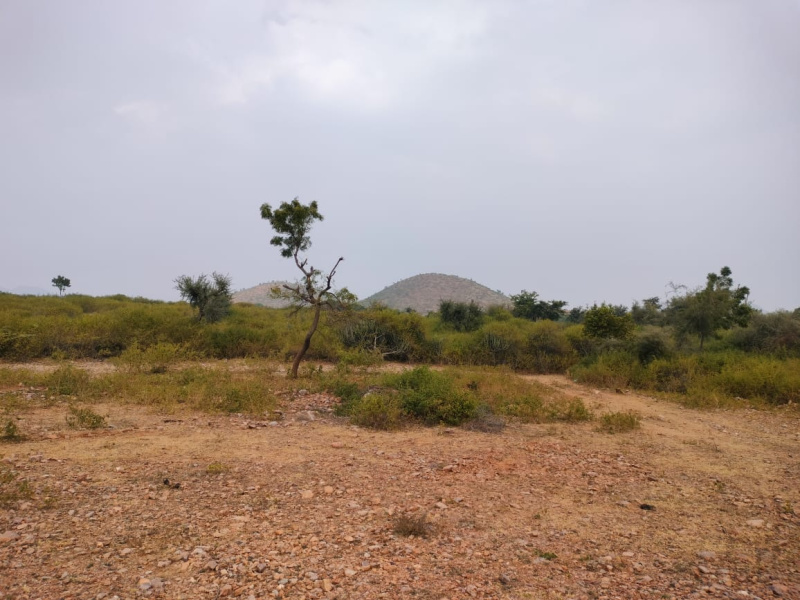  Residential Plot 6 Bigha for Sale in Girwa, Udaipur