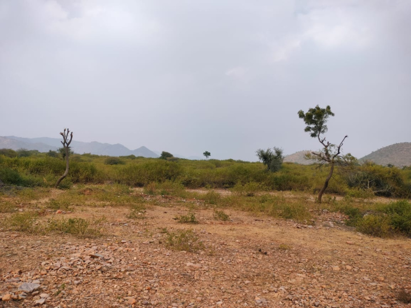  Residential Plot 6 Bigha for Sale in Girwa, Udaipur