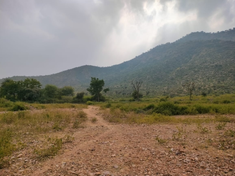  Residential Plot 6 Bigha for Sale in Girwa, Udaipur