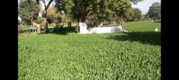  Agricultural Land for Sale in Dabok, Udaipur