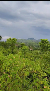  Agricultural Land for Sale in Gogunda, Udaipur