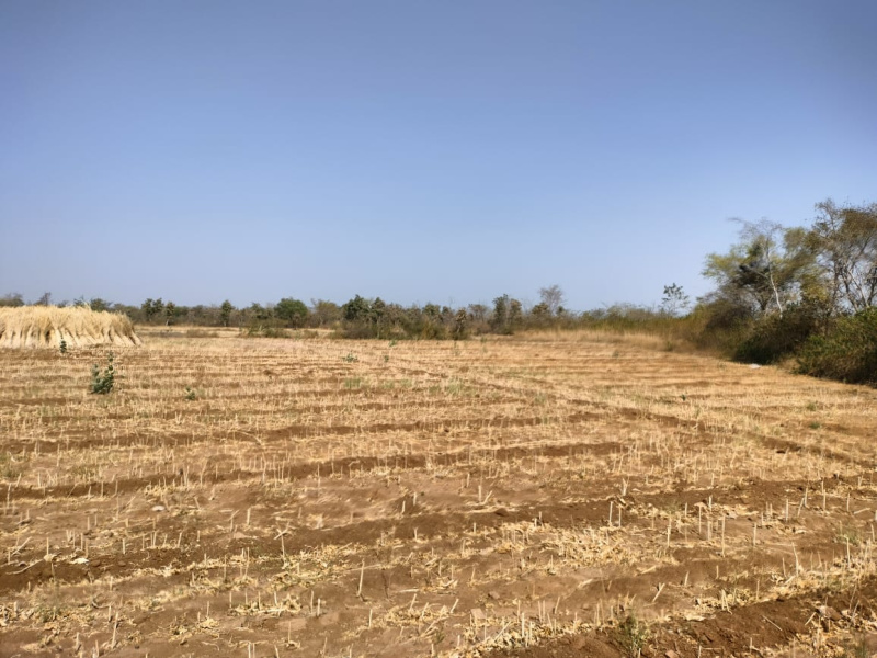  Agricultural Land 30 Bigha for Sale in Mavli, Udaipur