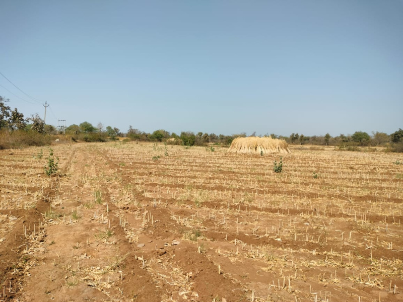  Agricultural Land 30 Bigha for Sale in Mavli, Udaipur