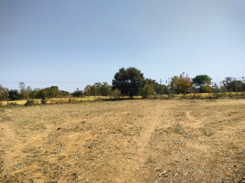  Agricultural Land 34 Bigha for Sale in Girwa, Udaipur