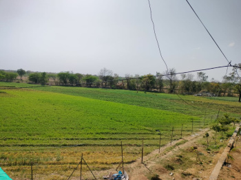  Agricultural Land for Sale in Girwa, Udaipur