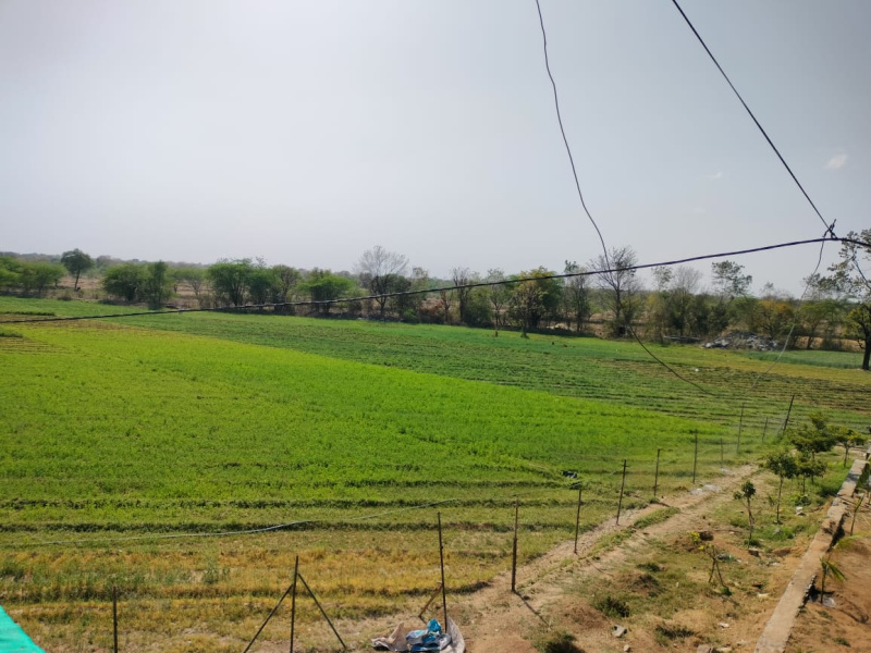  Agricultural Land 45 Bigha for Sale in Girwa, Udaipur