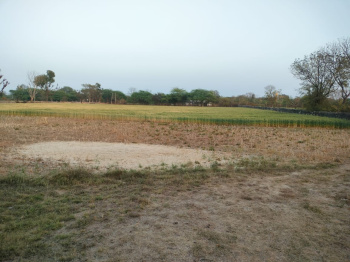  Agricultural Land for Sale in Vallabhnagar, Udaipur