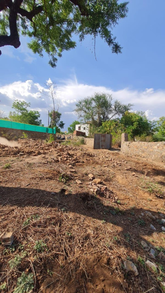  Agricultural Land 11000 Sq.ft. for Sale in Badi, Udaipur