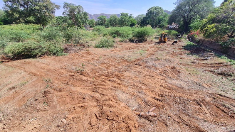  Agricultural Land 11000 Sq.ft. for Sale in Badi, Udaipur