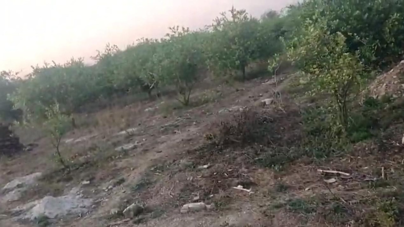  Agricultural Land 14 Bigha for Sale in Mavli, Udaipur