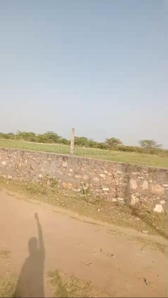  Agricultural Land 10 Bigha for Sale in Dabok, Udaipur