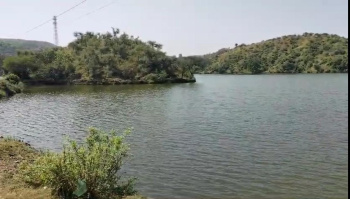  Agricultural Land for Sale in Girwa, Udaipur