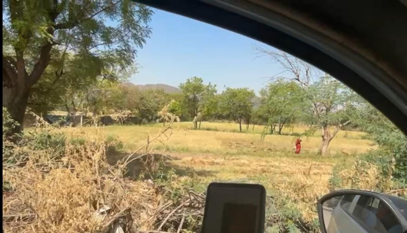  Agricultural Land 7 Bigha for Sale in Girwa, Udaipur