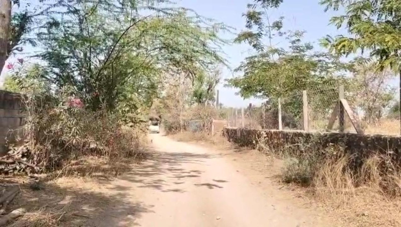  Agricultural Land 13 Bigha for Sale in Khemli, Udaipur