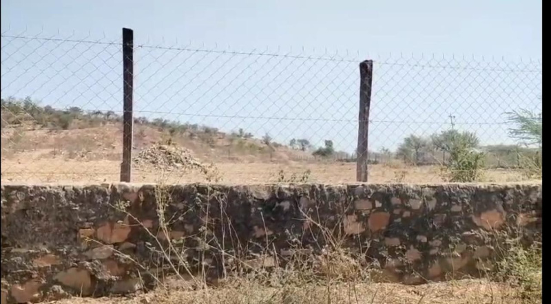  Agricultural Land 13 Bigha for Sale in Khemli, Udaipur