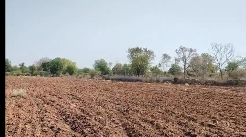  Agricultural Land 13 Bigha for Sale in Khemli, Udaipur