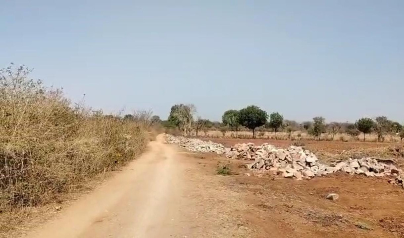  Agricultural Land 13 Bigha for Sale in Khemli, Udaipur
