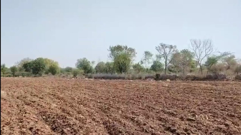  Agricultural Land 13 Bigha for Sale in Khemli, Udaipur