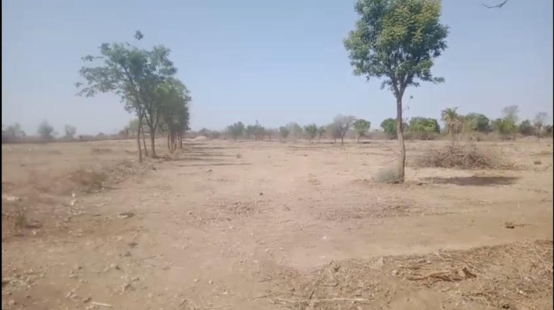  Agricultural Land 23 Bigha for Sale in Mavli, Udaipur