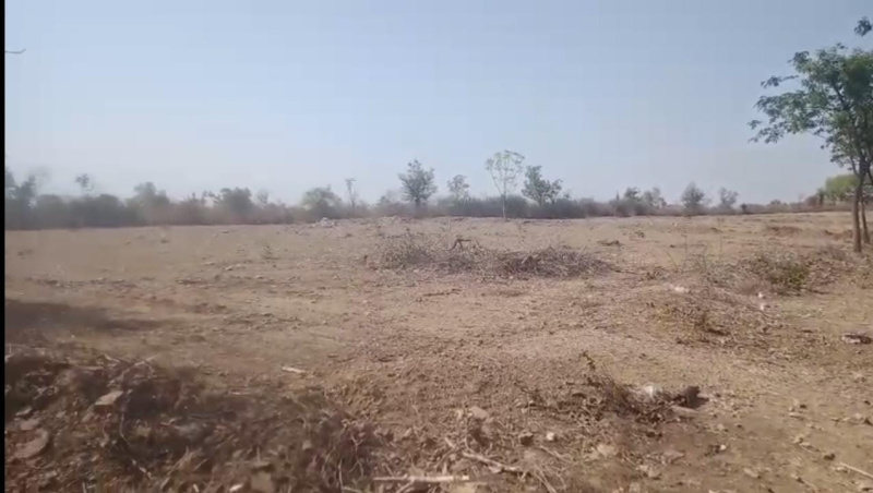  Agricultural Land 23 Bigha for Sale in Mavli, Udaipur