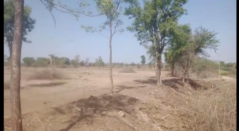  Agricultural Land 23 Bigha for Sale in Mavli, Udaipur