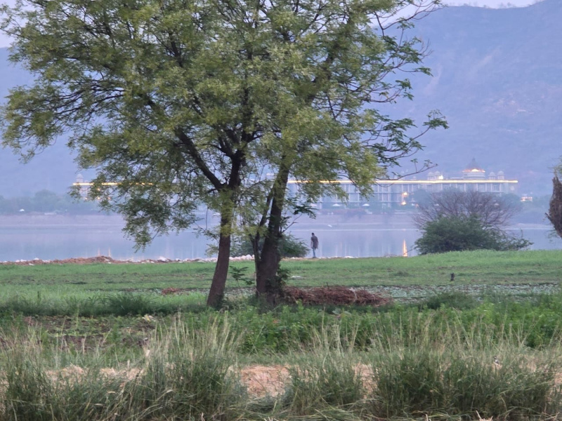  Residential Plot 28500 Sq.ft. for Sale in Girwa, Udaipur