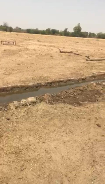  Agricultural Land 70 Bigha for Sale in Girwa, Udaipur