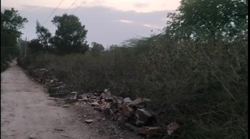  Agricultural Land 5 Bigha for Sale in Dabok, Udaipur