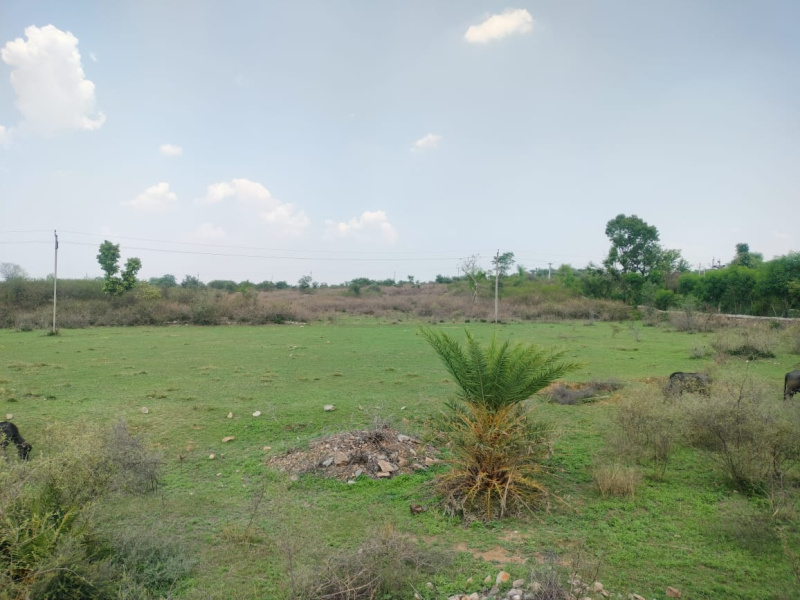  Agricultural Land 11 Bigha for Sale in Nathdwara, Rajsamand