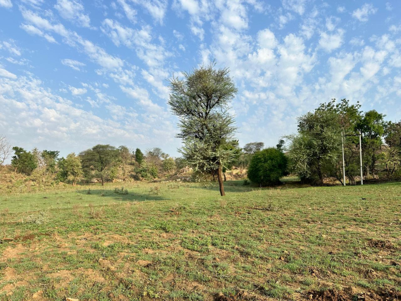  Agricultural Land 38 Bigha for Sale in Kurabad, Udaipur