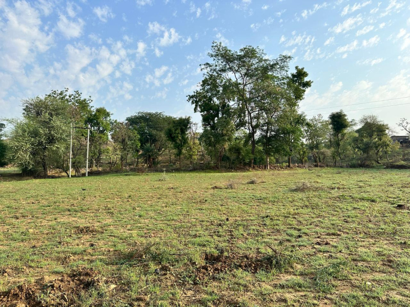  Agricultural Land 38 Bigha for Sale in Kurabad, Udaipur