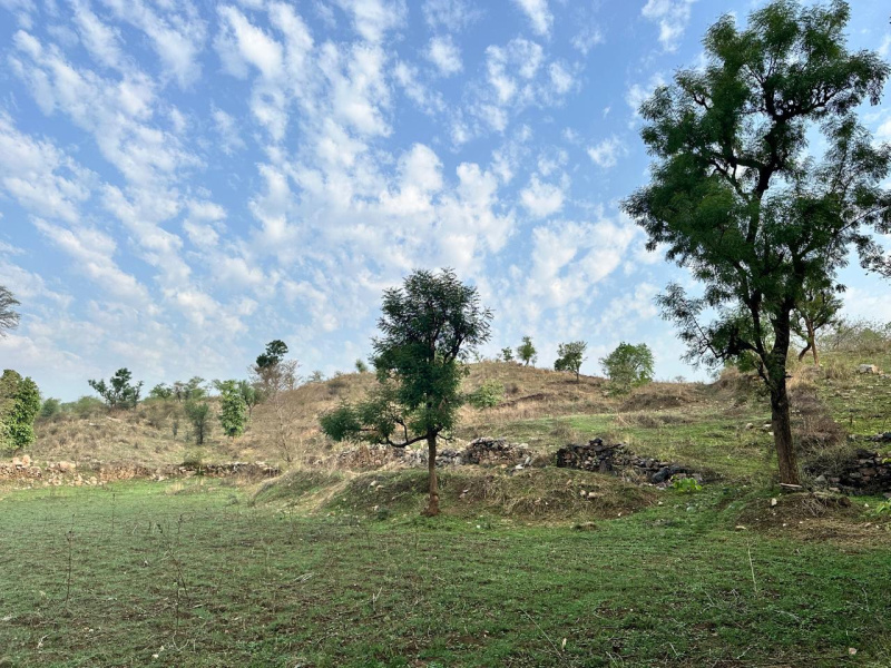  Agricultural Land 38 Bigha for Sale in Kurabad, Udaipur