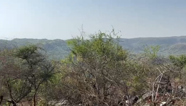  Agricultural Land 20 Bigha for Sale in godch Udaipur