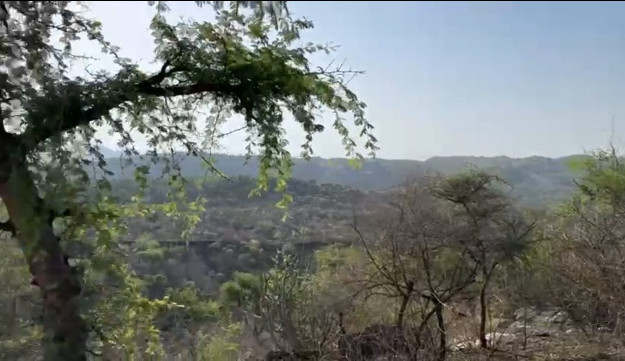  Agricultural Land 20 Bigha for Sale in godch Udaipur