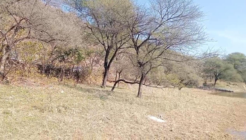  Agricultural Land 200 Bigha for Sale in Nathdwara, Rajsamand