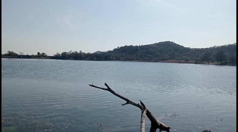  Agricultural Land 200 Bigha for Sale in Nathdwara, Rajsamand