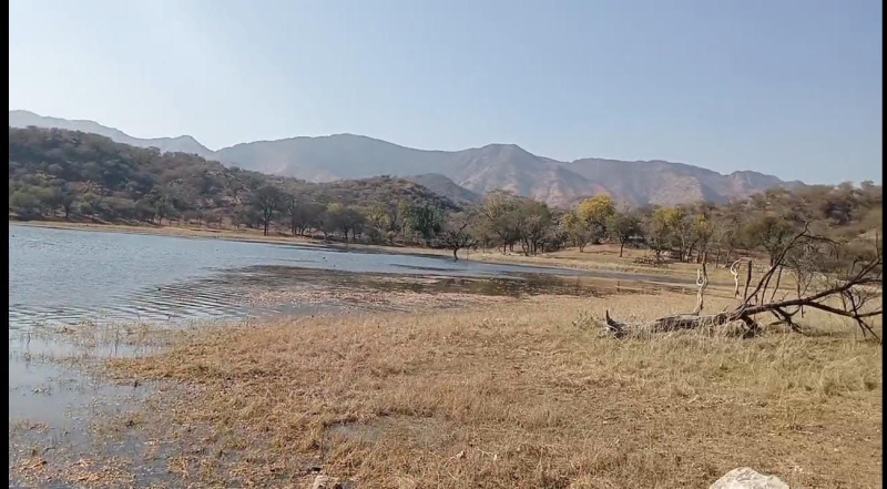  Agricultural Land 200 Bigha for Sale in Nathdwara, Rajsamand