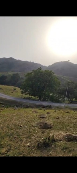  Agricultural Land 16 Bigha for Sale in Iswal, Udaipur