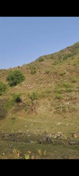  Agricultural Land 16 Bigha for Sale in Iswal, Udaipur
