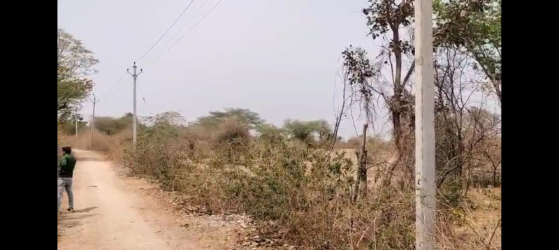 Agricultural Land 2 Bigha for Sale in Mavli, Udaipur