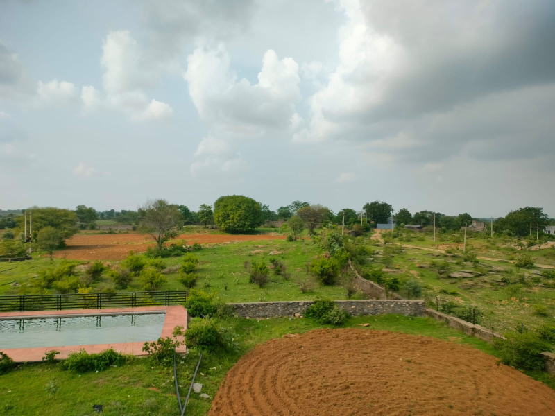  Agricultural Land 20 Bigha for Sale in Dabok, Udaipur