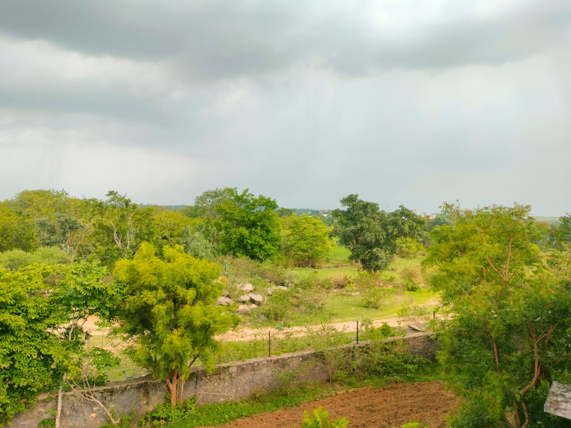  Agricultural Land 20 Bigha for Sale in Dabok, Udaipur