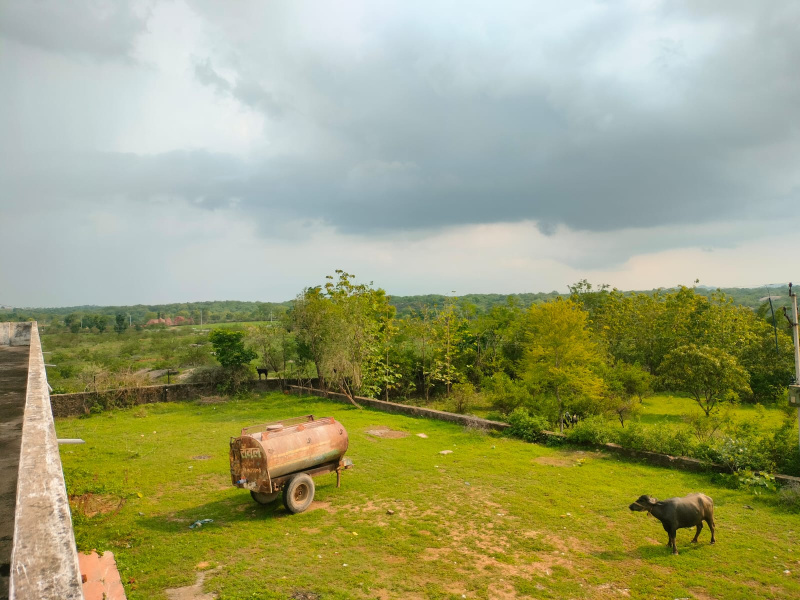  Agricultural Land 20 Bigha for Sale in Dabok, Udaipur
