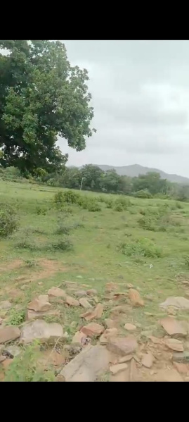  Agricultural Land 35 Bigha for Sale in Dedron ki Dhani, Udaipur Udaipur