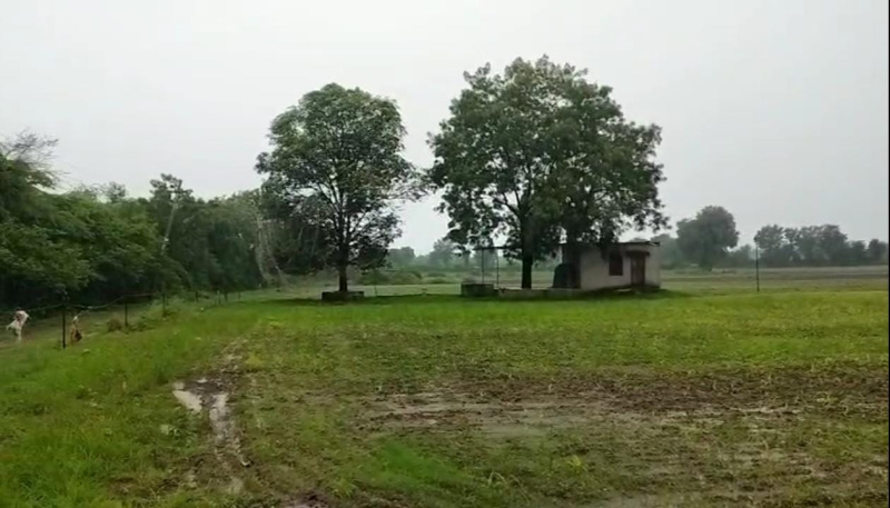  Agricultural Land 50 Bigha for Sale in Mavli, Udaipur