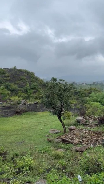  Residential Plot 58500 Sq.ft. for Sale in Girwa, Udaipur