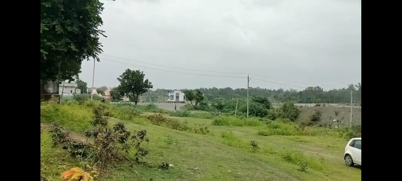  Agricultural Land 25 Bigha for Sale in Rishabhdev, Udaipur